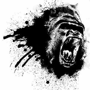 Meet your Posher, Willie